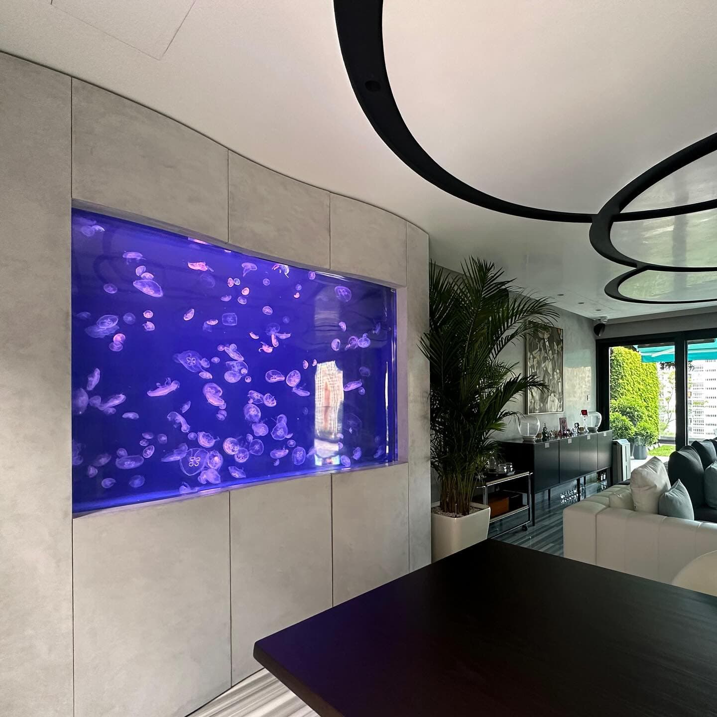 100+ Aquariums Custom-made