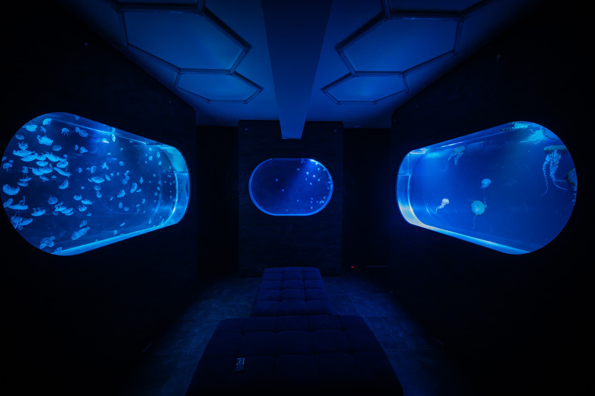 Custom aquarium background