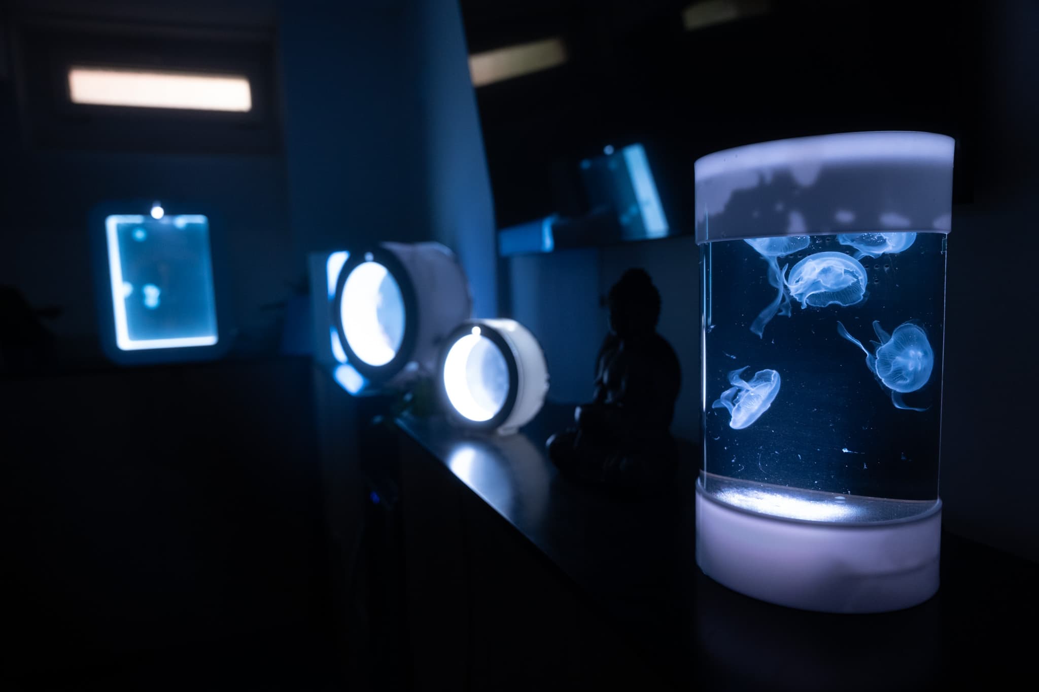 Desktop jellyfish aquarium in a modern room