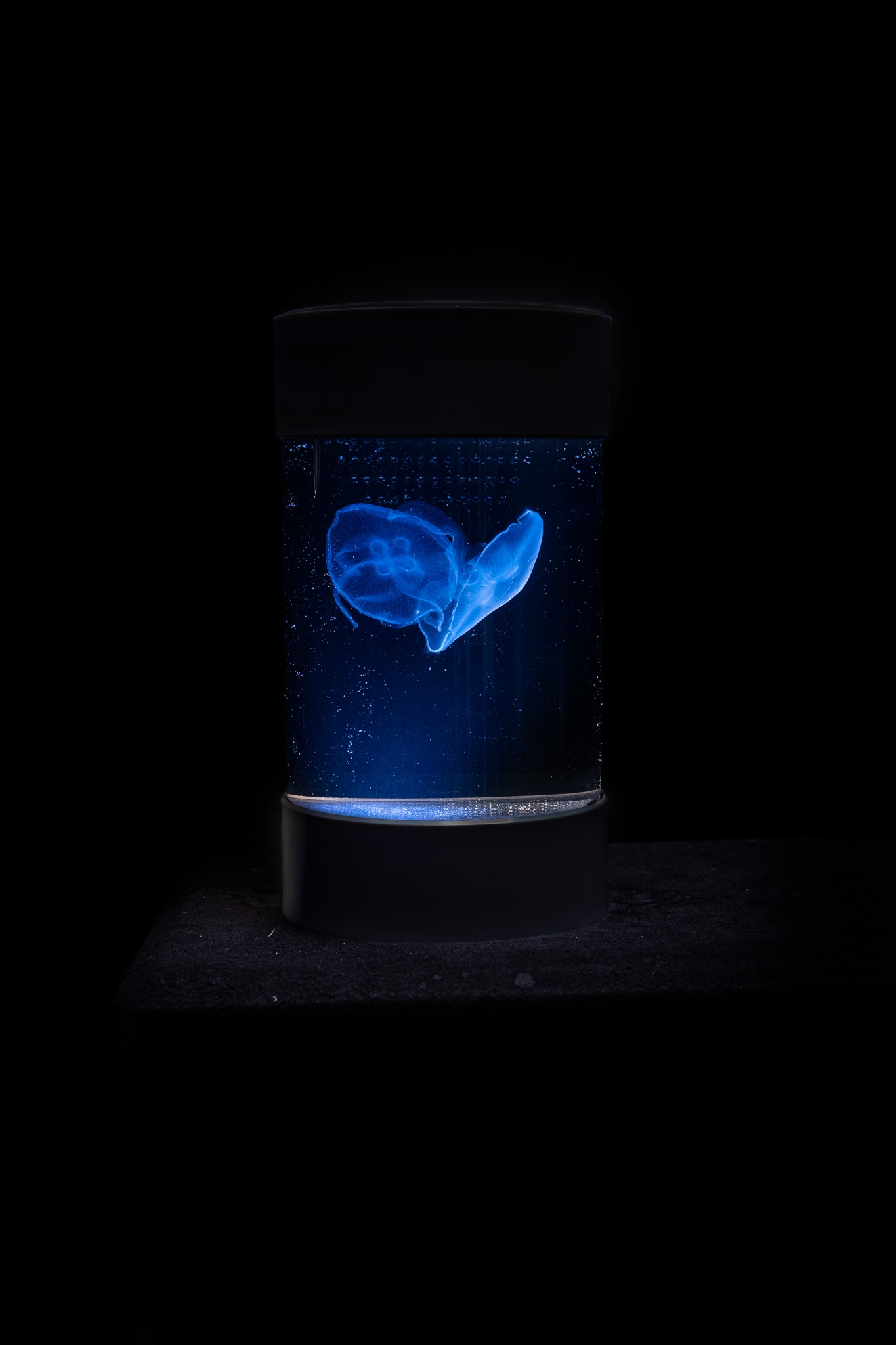 OceanBeam-8l-Akvarium