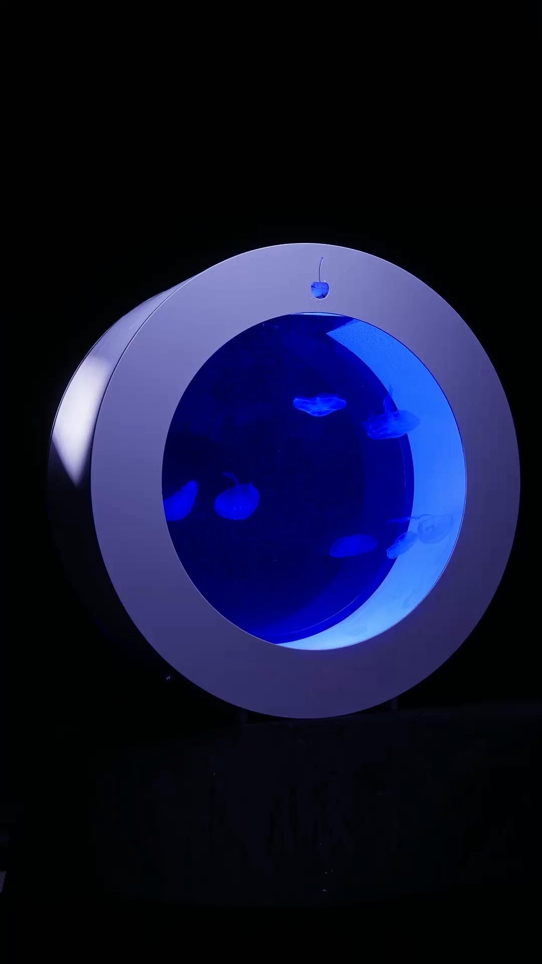 Ocean Eclipse