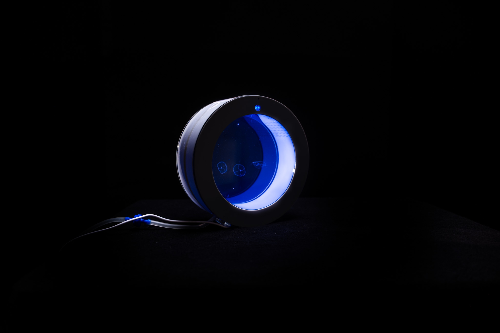 OceanRing-2l-Akvarium