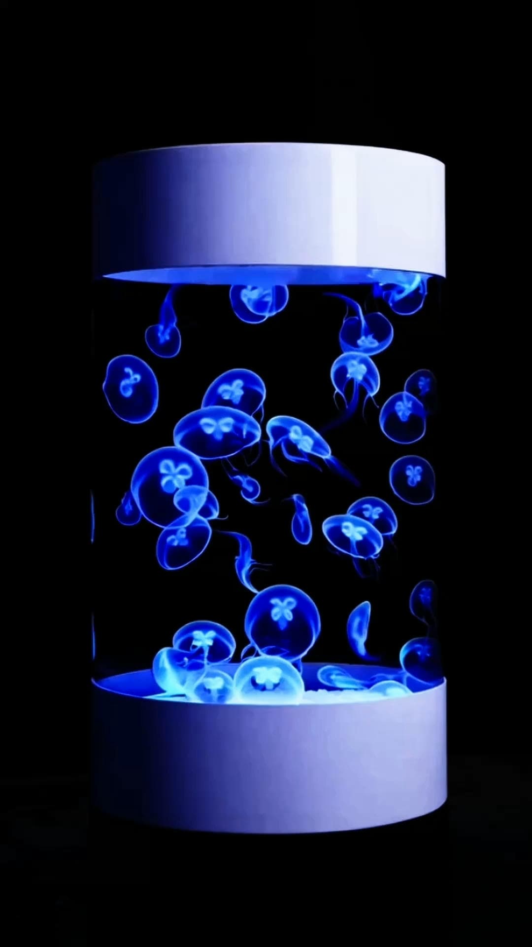 Ocean Beam (600l)