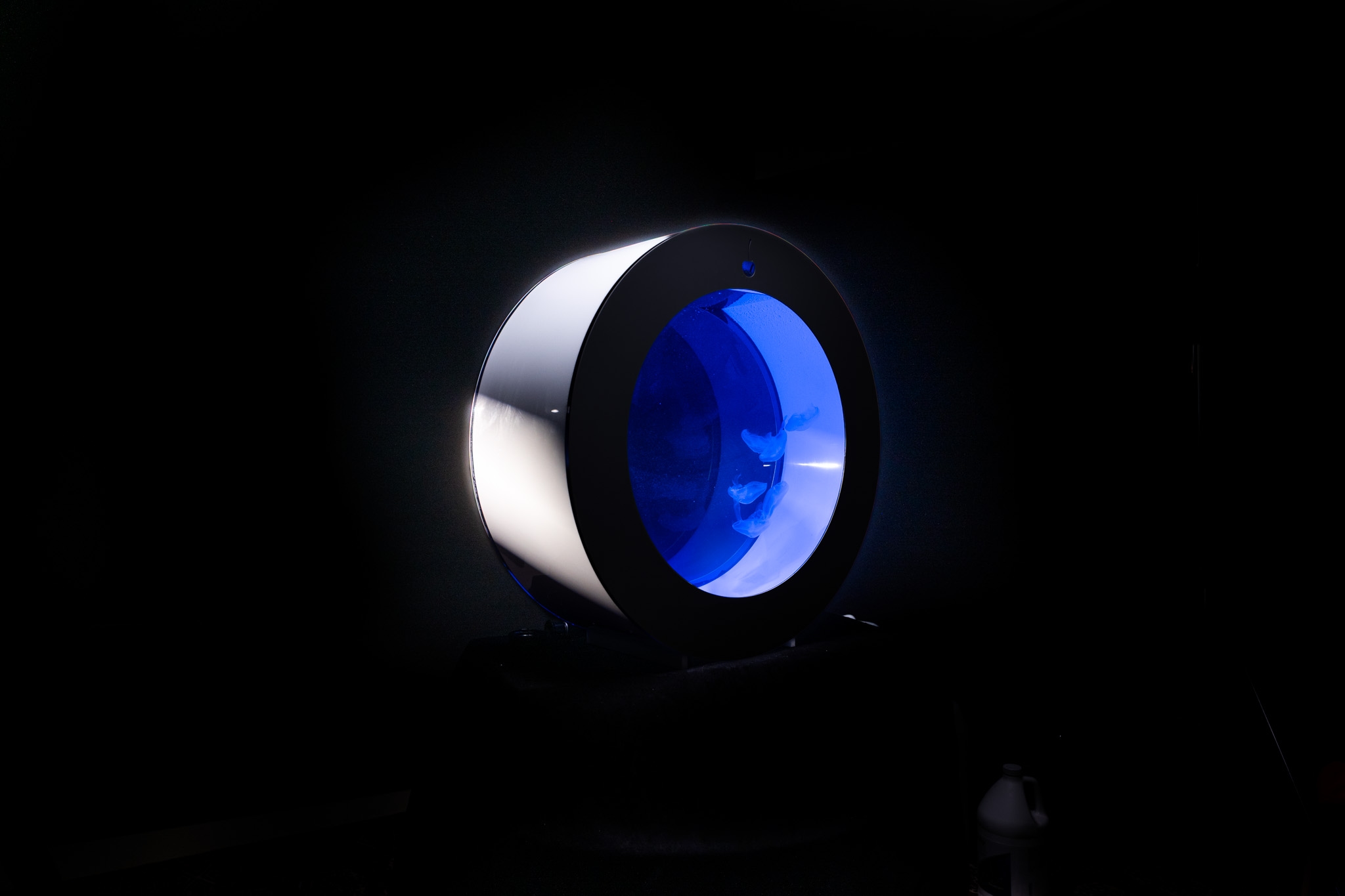 Ocean Eclipse