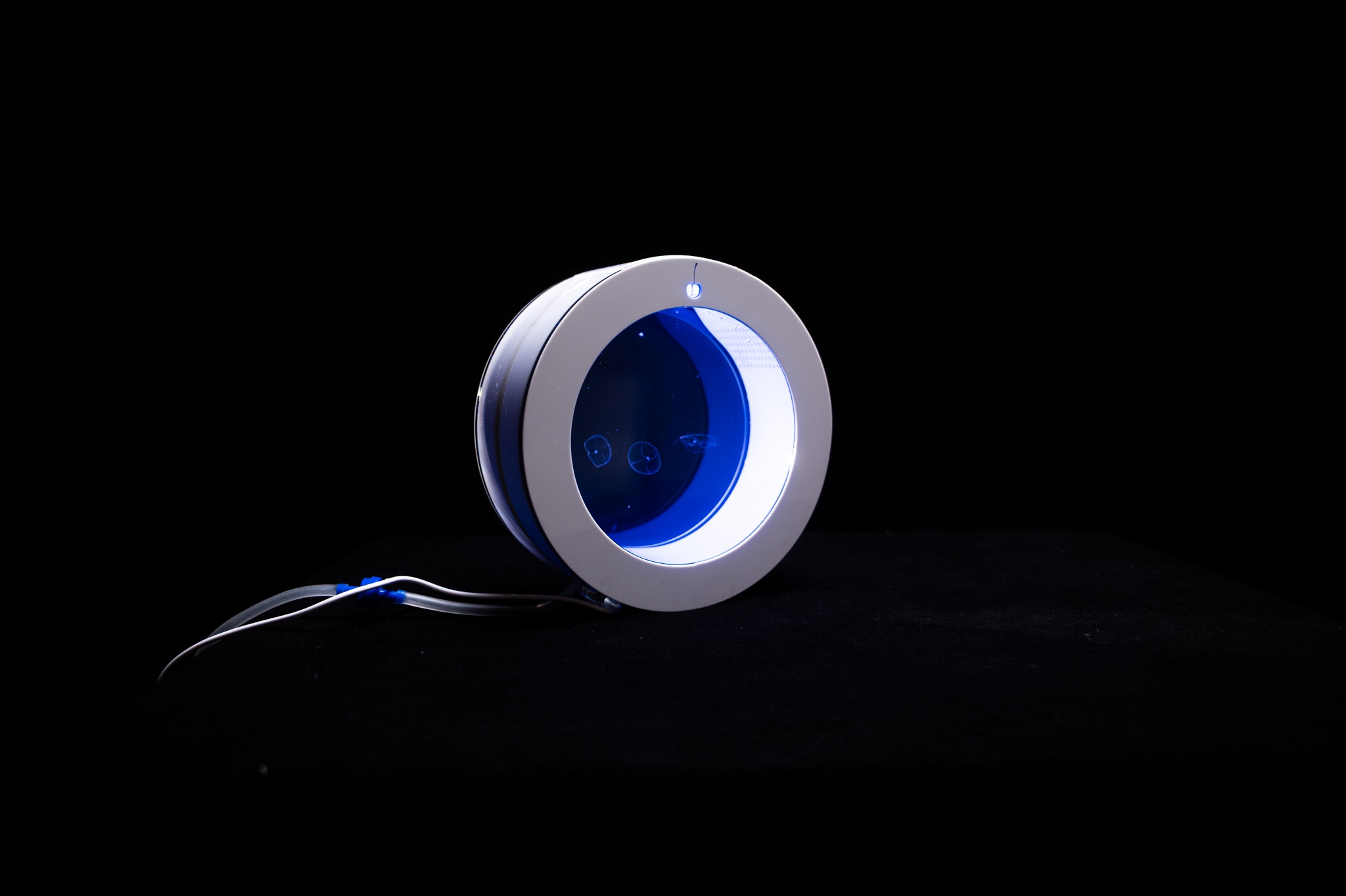 Akv--rium-02--2
