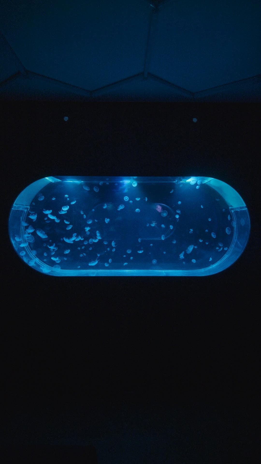 Custom Ocean Pill